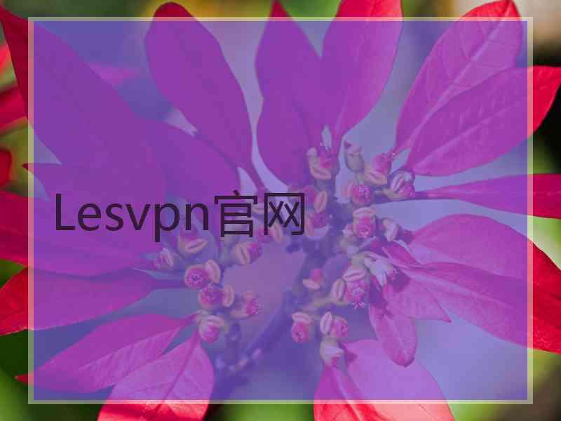 Lesvpn官网