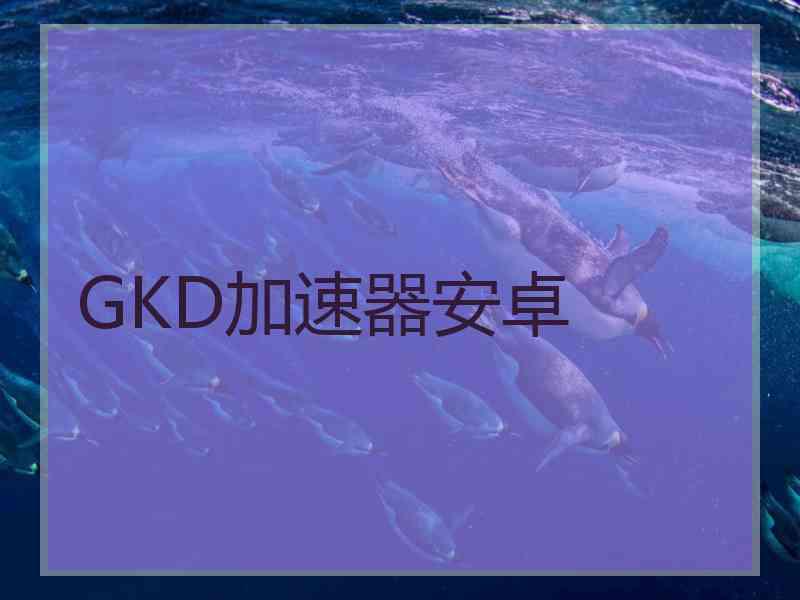 GKD加速器安卓