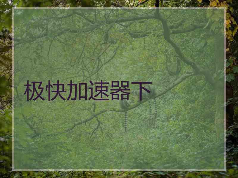 极快加速器下