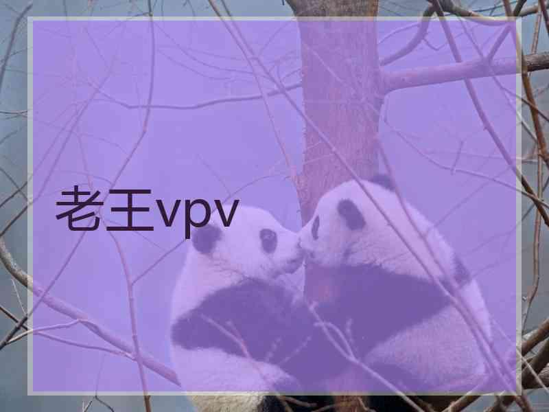 老王vpv