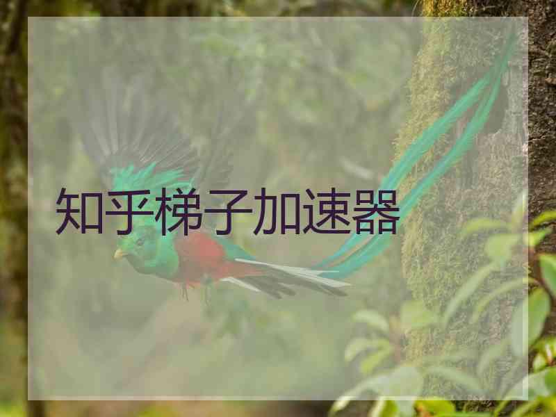 知乎梯子加速器