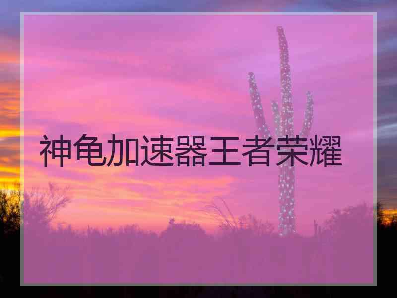 神龟加速器王者荣耀