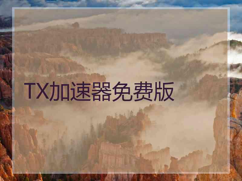 TX加速器免费版