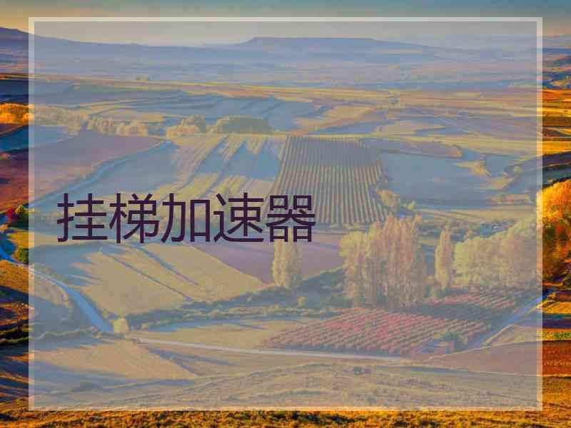 挂梯加速器