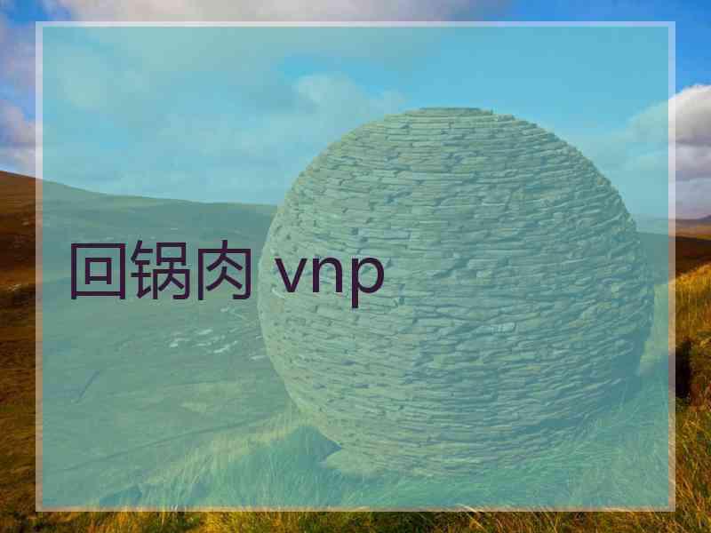 回锅肉 vnp