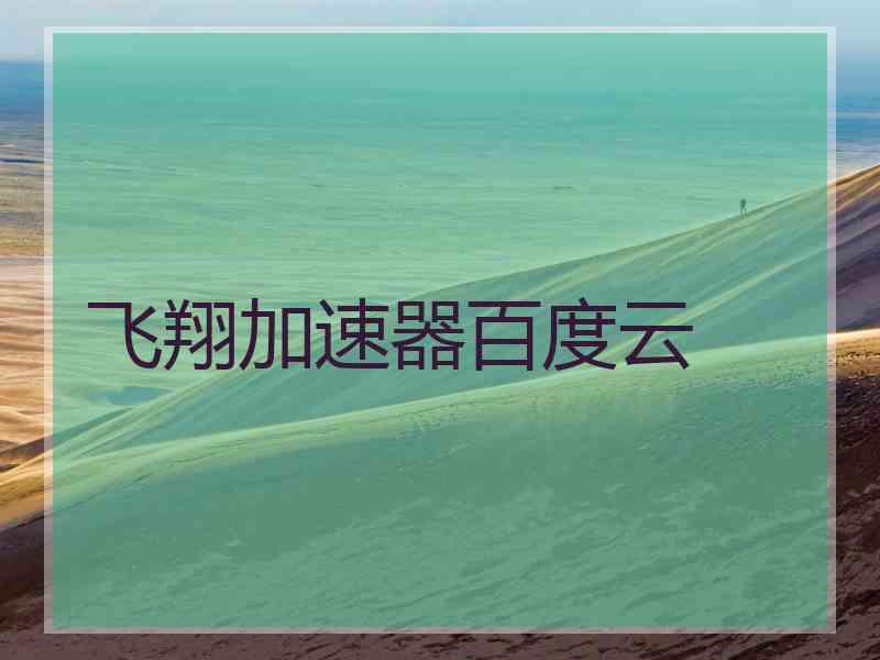 飞翔加速器百度云