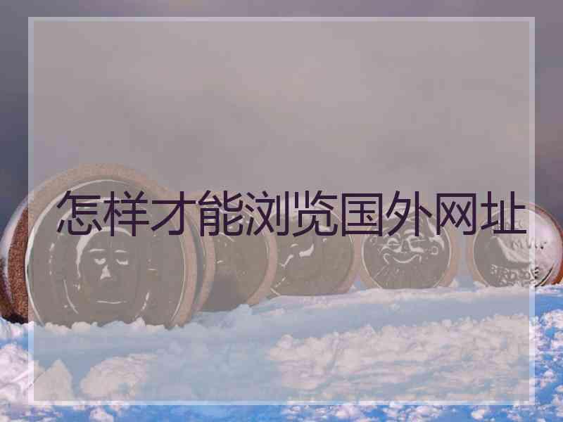 怎样才能浏览国外网址