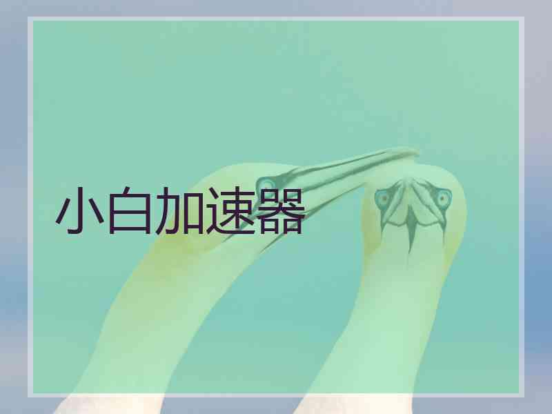 小白加速器