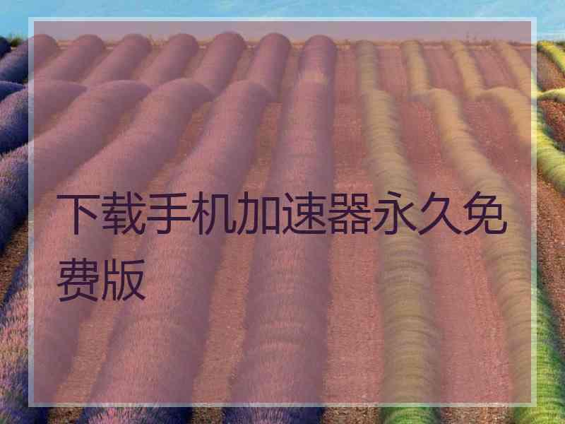下载手机加速器永久免费版