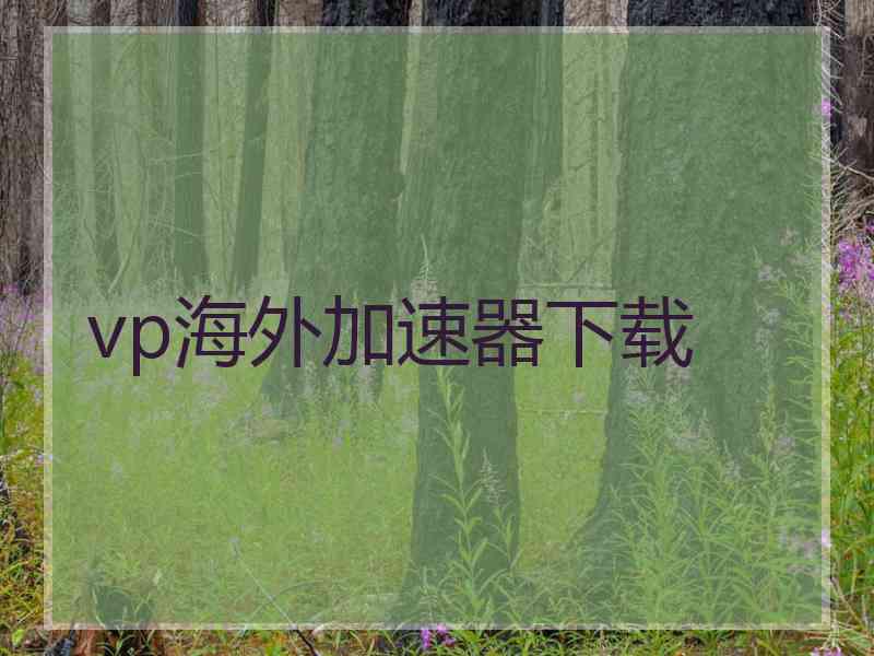vp海外加速器下载