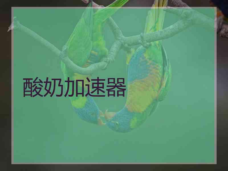 酸奶加速器