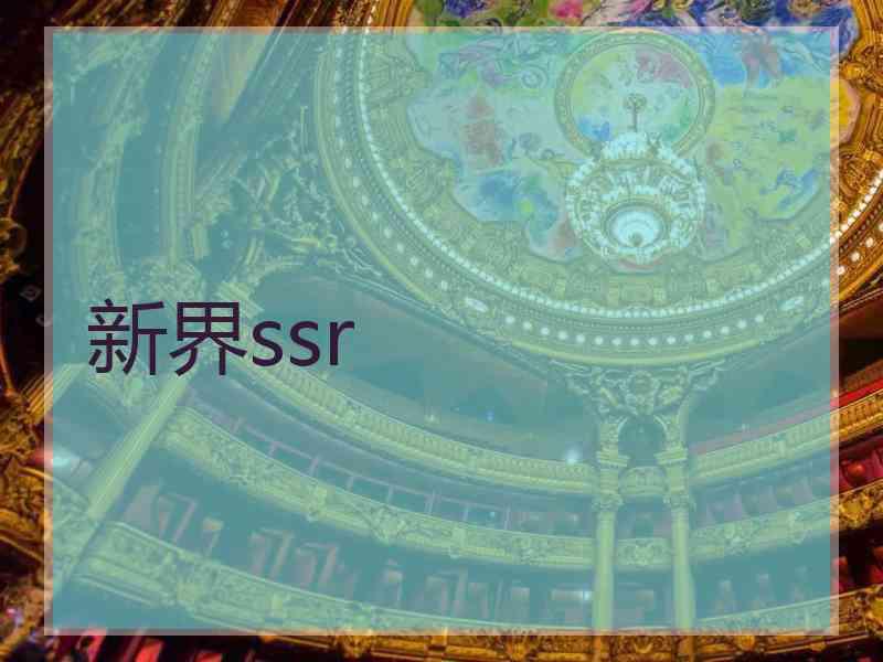 新界ssr