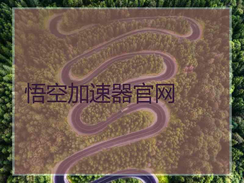悟空加速器官网