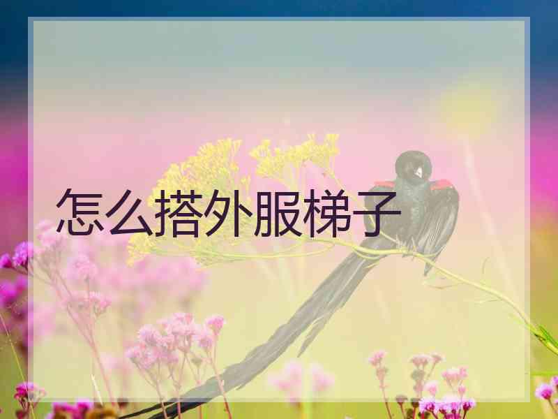 怎么搭外服梯子
