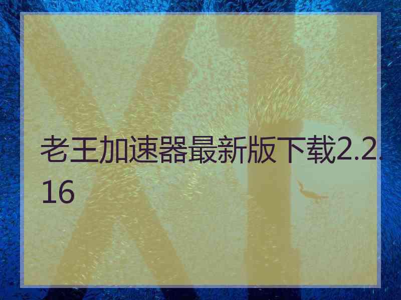 老王加速器最新版下载2.2.16