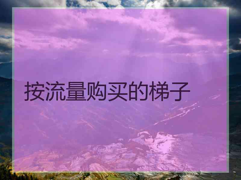 按流量购买的梯子