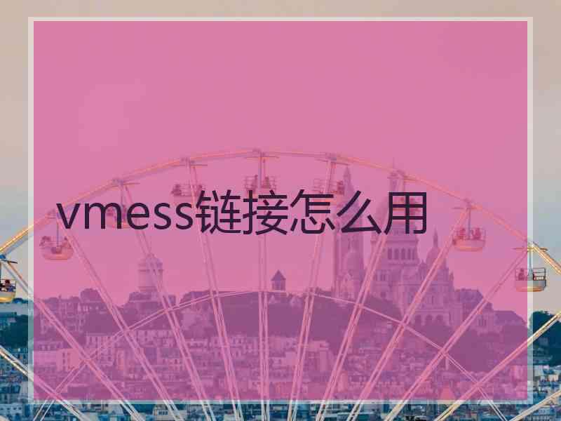 vmess链接怎么用