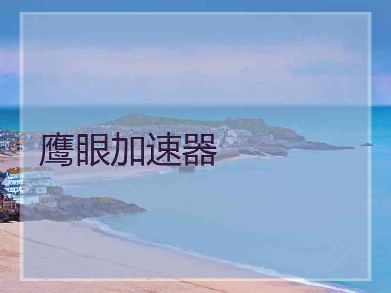 鹰眼加速器