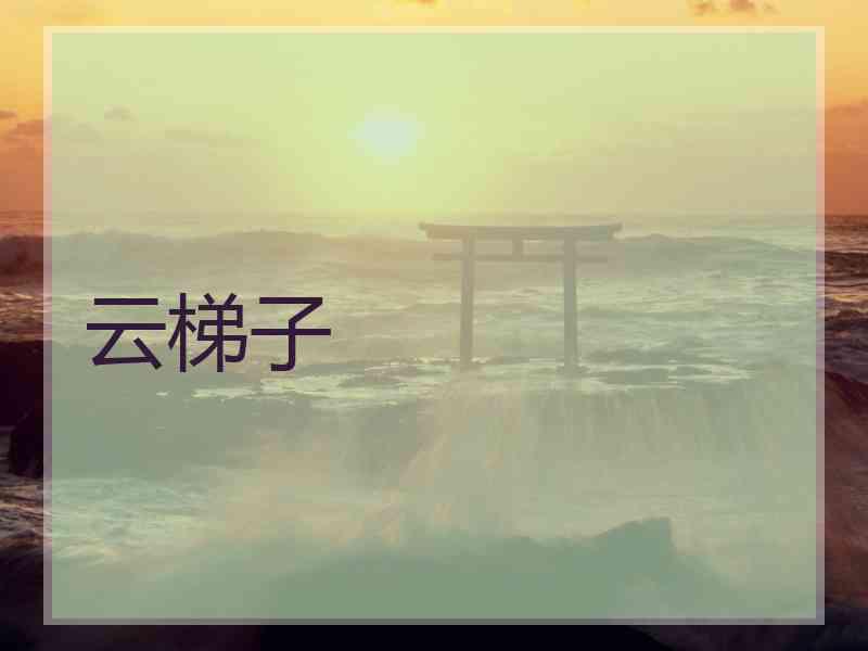 云梯子