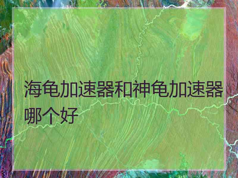 海龟加速器和神龟加速器哪个好