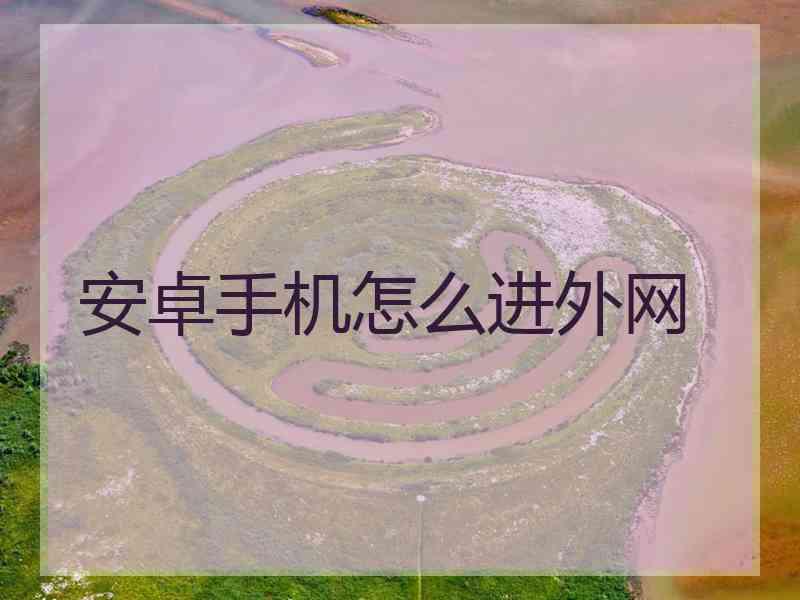 安卓手机怎么进外网