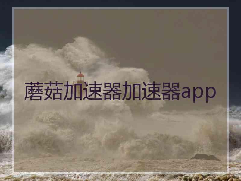蘑菇加速器加速器app