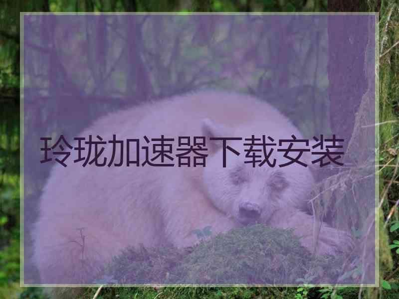 玲珑加速器下载安装