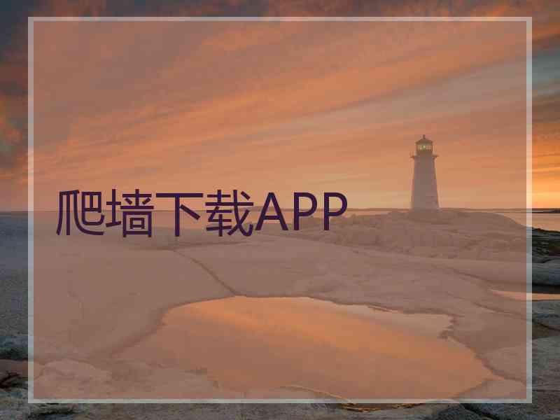 爬墙下载APP
