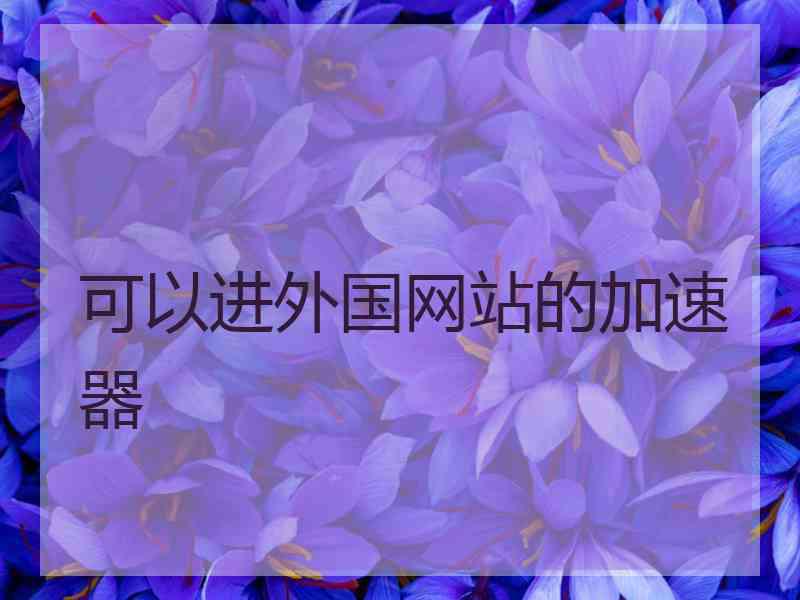 可以进外国网站的加速器