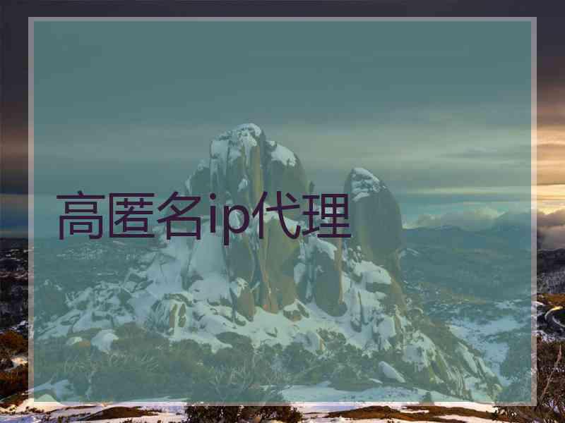 高匿名ip代理