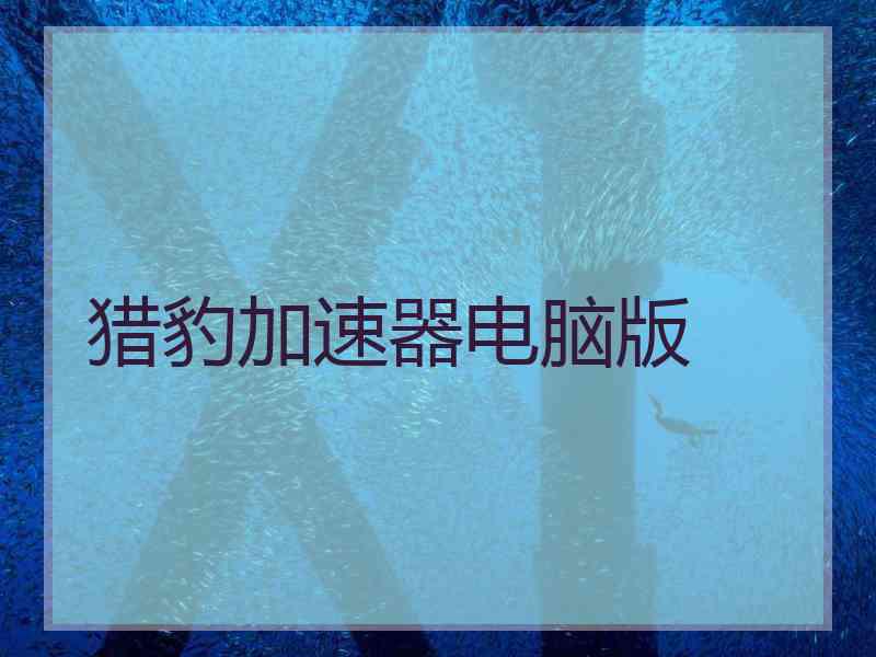 猎豹加速器电脑版