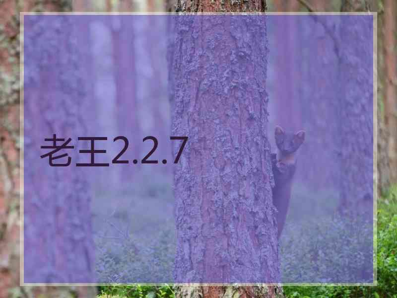 老王2.2.7