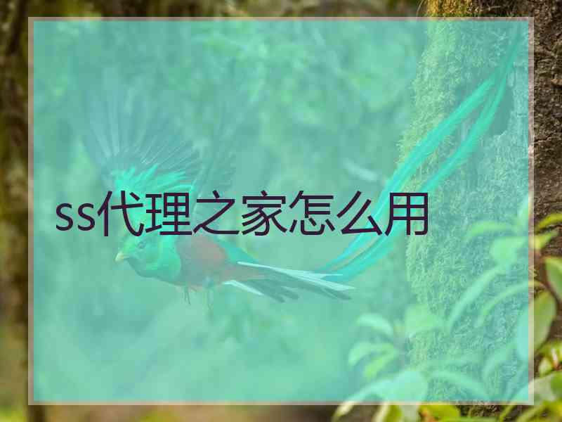 ss代理之家怎么用