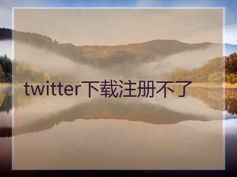 twitter下载注册不了