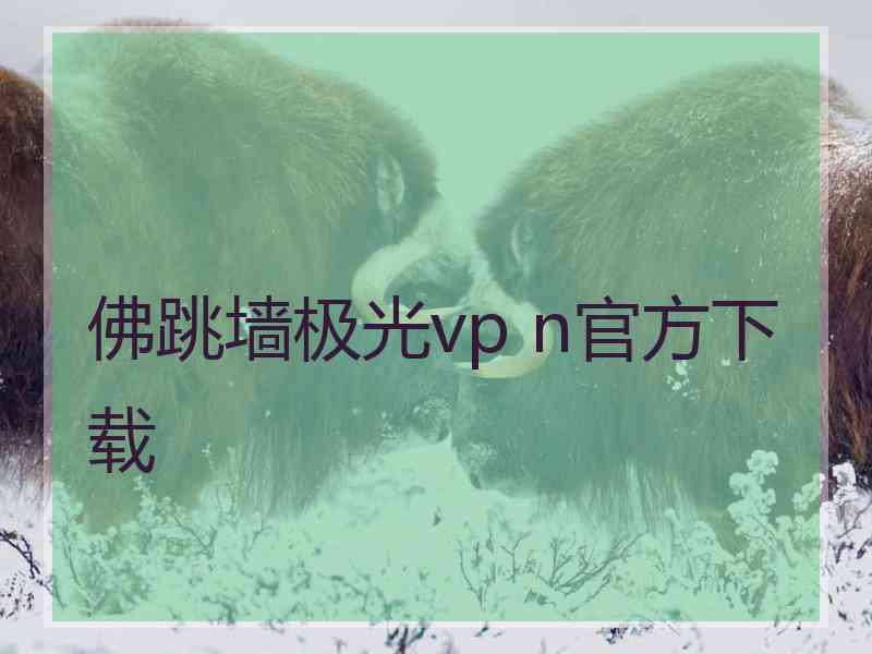 佛跳墙极光vp n官方下载