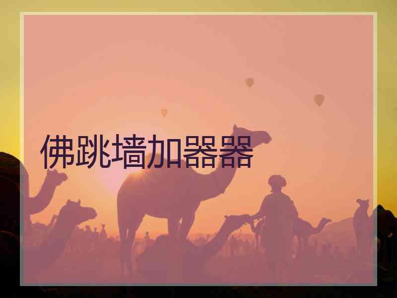 佛跳墙加器器