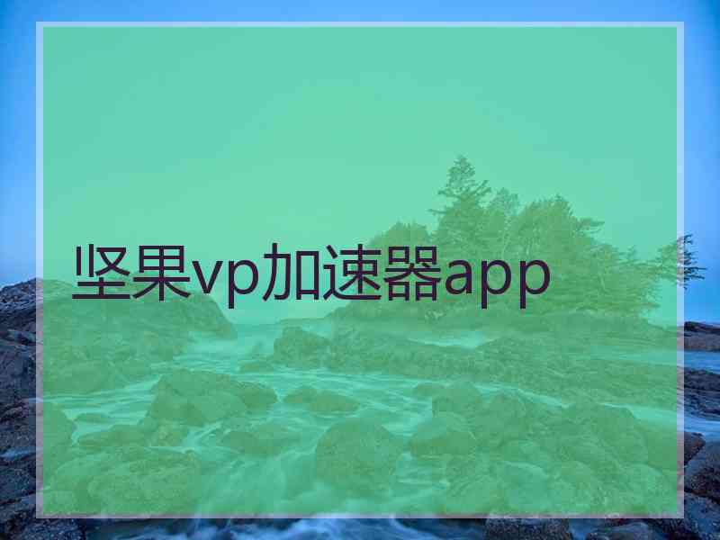 坚果vp加速器app