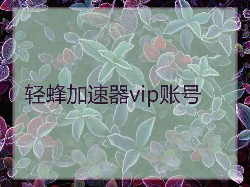轻蜂加速器vip账号