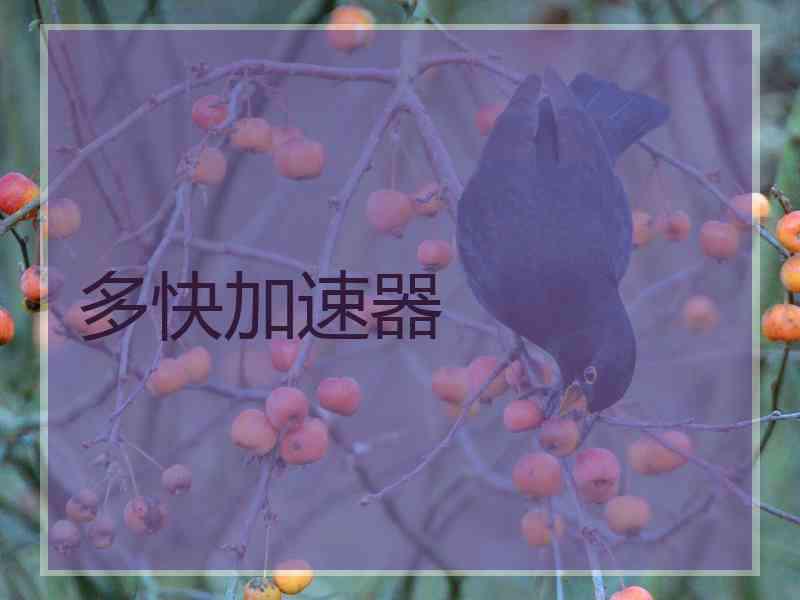 多快加速器