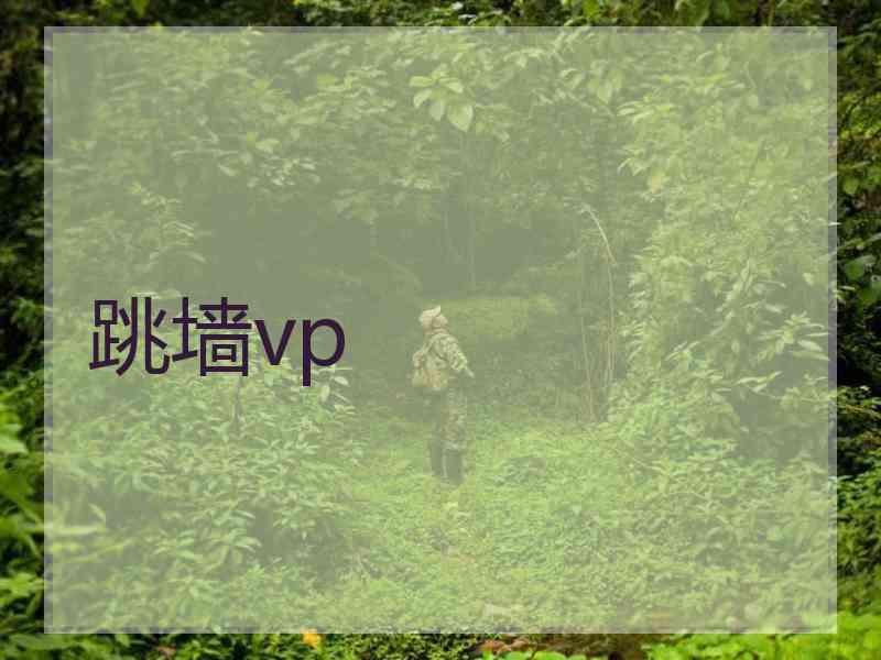 跳墙vp