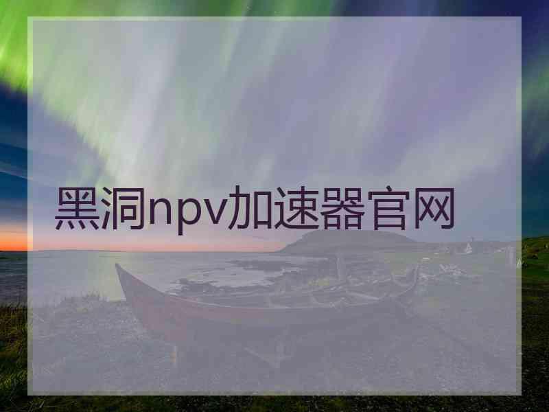 黑洞npv加速器官网