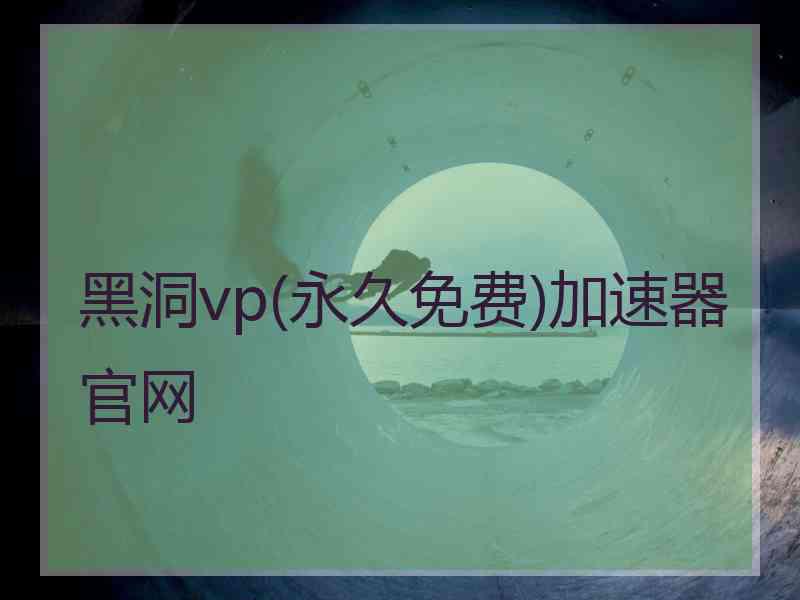 黑洞vp(永久免费)加速器官网