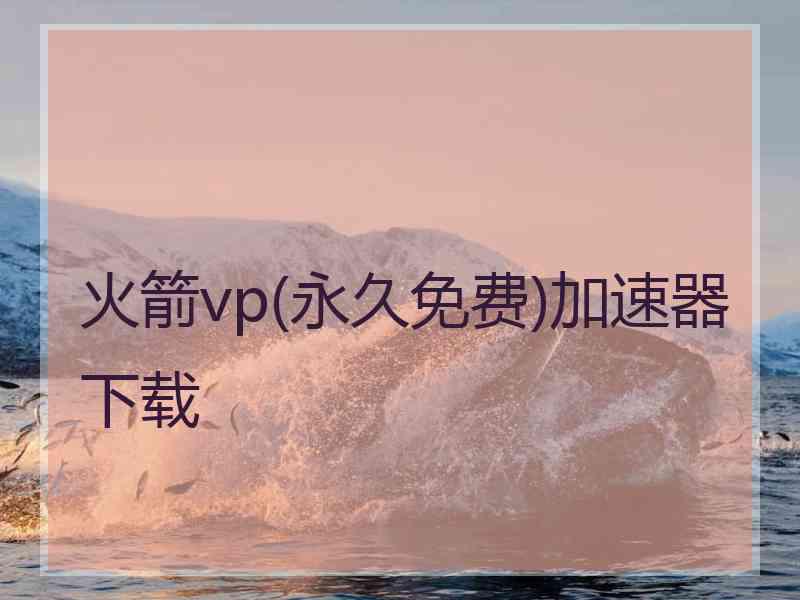 火箭vp(永久免费)加速器下载