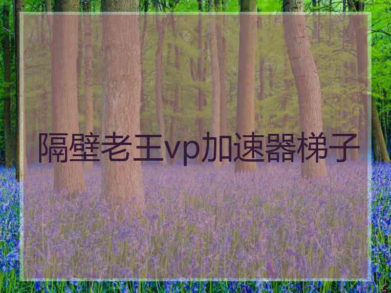 隔壁老王vp加速器梯子