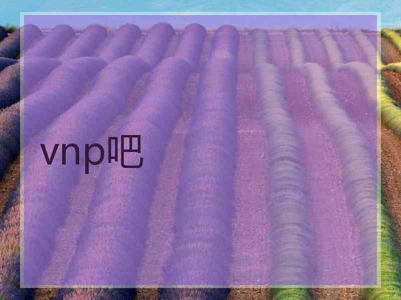 vnp吧