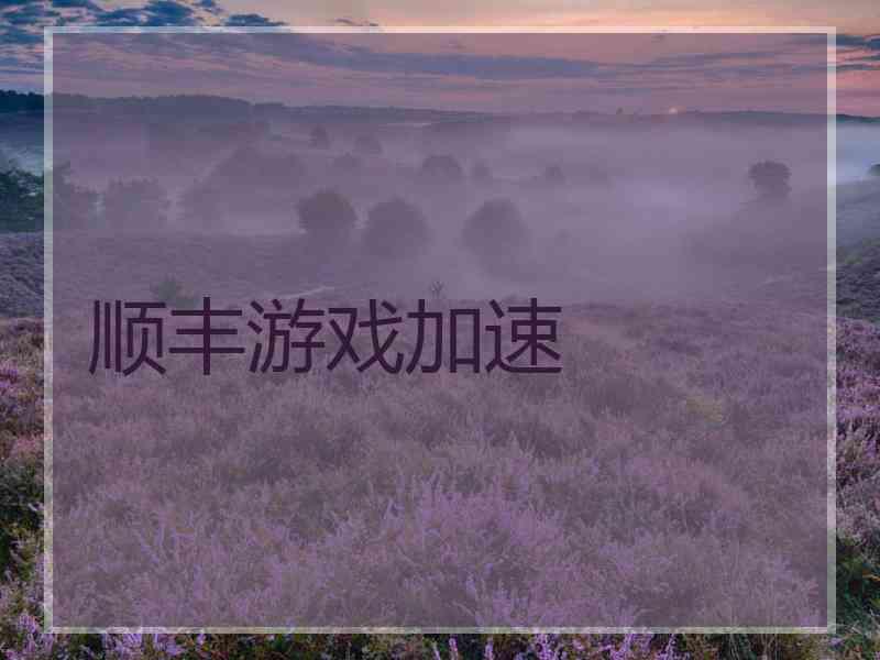 顺丰游戏加速