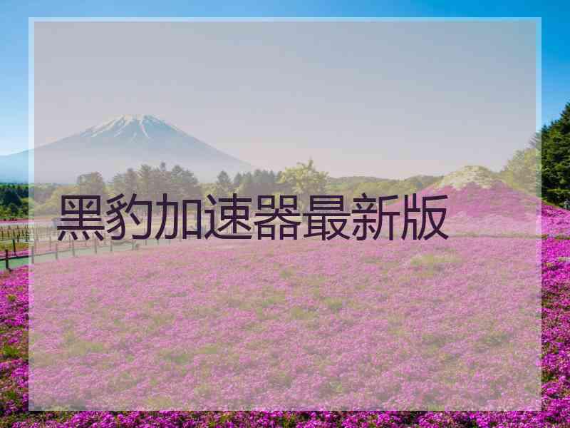 黑豹加速器最新版