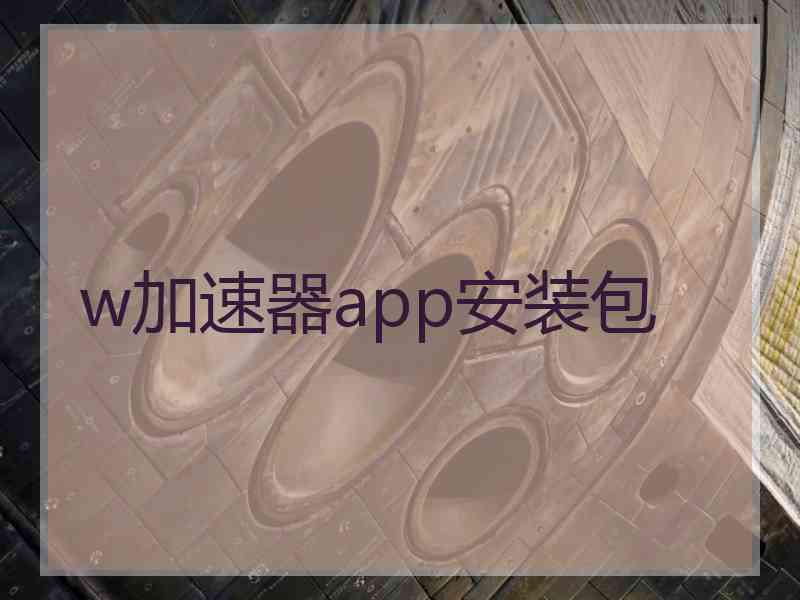 w加速器app安装包