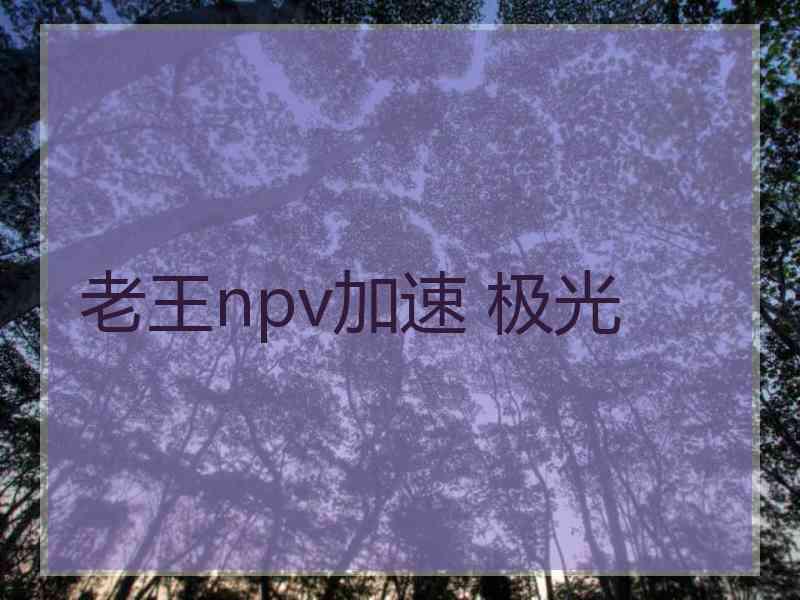 老王npv加速 极光