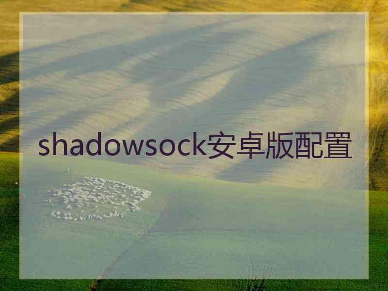 shadowsock安卓版配置